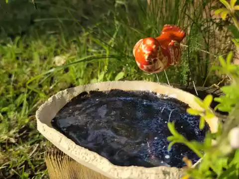 Poidło ceramiczne z czerwonym ptaszkiem