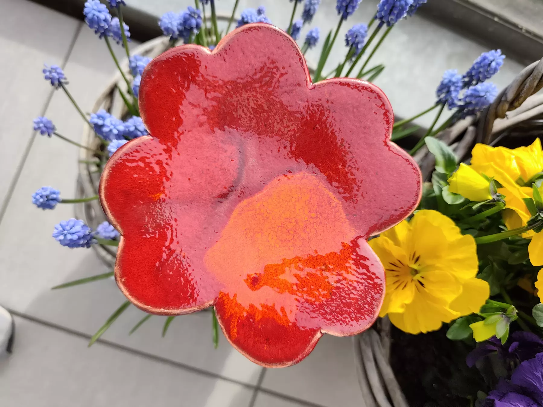 koniczyna ceramiczna poidło